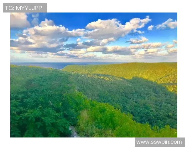 足球明星与女明星的完美壁纸合集让你领略不同风采的魅力与激情